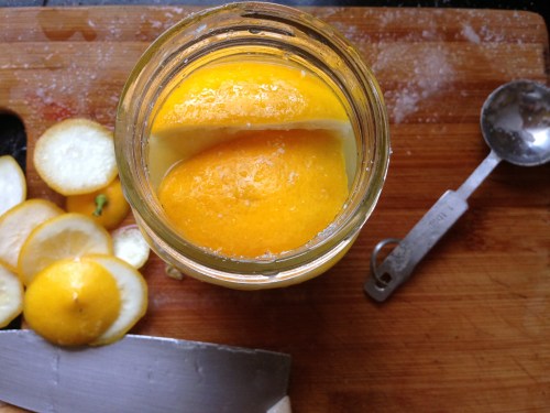 Preserved Lemon 1